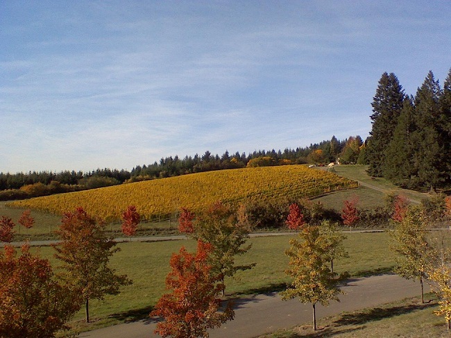 Долината Уиламет, Орегон, САЩ